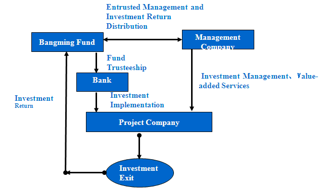 Fund Mnagement Sructure