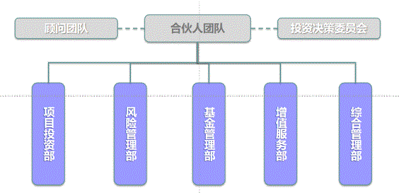 管理公司架构